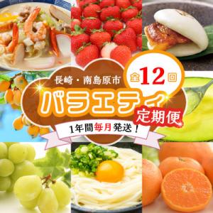 ふるさと納税 南島原市 【発送月固定定期便】長崎・南島原グルメ バラエティ定期便 ちゃんぽん 角煮 ...