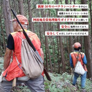 ふるさと納税 海陽町 【毎月定期便】《粗挽き&...の詳細画像2