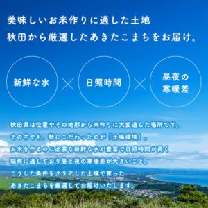 ふるさと納税 八郎潟町 【毎月定期便】あきたこ...の詳細画像2