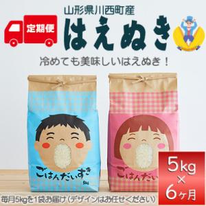 ふるさと納税 川西町 【発送月固定定期便】はえぬき　精米　5kg　全6回