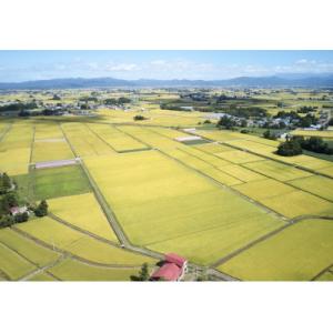 ふるさと納税 川西町 【発送月固定定期便】雪若...の詳細画像1