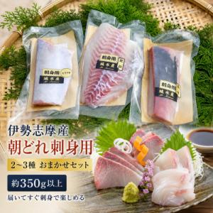 ふるさと納税 南伊勢町 【毎月定期便】訳あり 伊勢志摩産 朝どれ新鮮 2〜3種 約350g お刺身用...