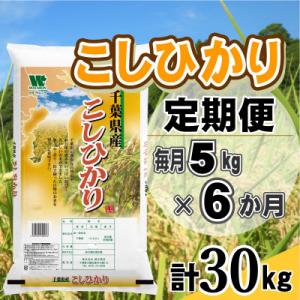 ふるさと納税 大網白里市 【毎月定期便】コシヒカリ 精米 5kg (5kg×1袋)全6回