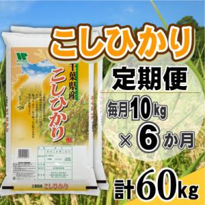 ふるさと納税 大網白里市 【毎月定期便】コシヒカリ 精米 10kg (5kg×2袋)全6回