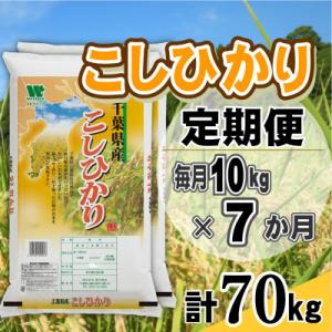 ふるさと納税 大網白里市 【毎月定期便】コシヒカリ 精米 10kg (5kg×2袋)全7回