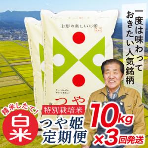 ふるさと納税 最上町 【発送月固定定期便】買い忘れなしで美味しい特別栽培米つや姫10kg(白米)が届く全3回