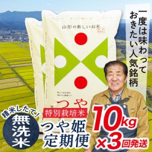 ふるさと納税 最上町 【発送月固定定期便】買い忘れなしで美味しい特別栽培米つや姫10kg(無洗米)が届く全3回