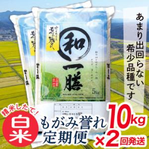 ふるさと納税 最上町 【発送月固定定期便】買い忘れなしで美味しいもがみ誉れ10kg(白米)が届く全2回