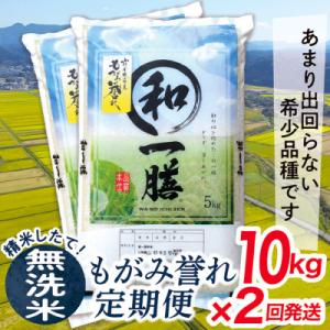 ふるさと納税 最上町 【発送月固定定期便】買い忘れなしで美味しいもがみ誉れ10kg(無洗米)が届く全2回