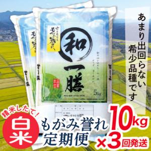 ふるさと納税 最上町 【発送月固定定期便】買い忘れなしで美味しいもがみ誉れ10kg(白米)が届く全3回