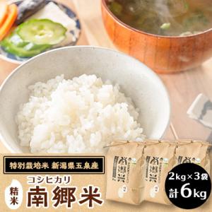 ふるさと納税 五泉市 【2ヵ月毎定期便】[隔月3回定期便]特別栽培米コシヒカリ100%「南郷米」精米...