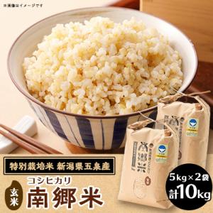 ふるさと納税 五泉市 【2ヵ月毎定期便】[隔月3回定期便]特別栽培米コシヒカリ「南郷米」玄米10kg...