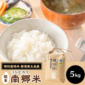 ふるさと納税 五泉市 【2ヵ月毎定期便】[隔月3回定期便]特別栽培米コシヒカリ100%「南郷米」精米...
