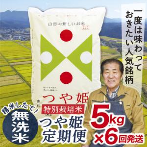 ふるさと納税 最上町 【発送月固定定期便】買い忘れなしで美味しい特別栽培米つや姫5kg(無洗米)が届く全6回