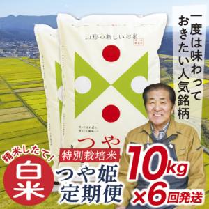 ふるさと納税 最上町 【発送月固定定期便】買い忘れなしで美味しい特別栽培米つや姫10kg(白米)が届く全6回