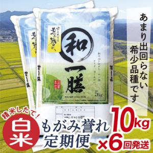 ふるさと納税 最上町 【発送月固定定期便】買い忘れなしで美味しいもがみ誉れ10kg(白米)が届く全6回