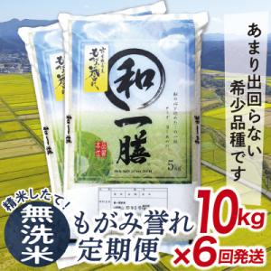 ふるさと納税 最上町 【発送月固定定期便】買い忘れなしで美味しいもがみ誉れ10kg(無洗米)が届く全6回