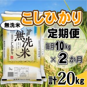 ふるさと納税 大網白里市 【毎月定期便】コシヒカリ 無洗米 10kg (5kg×2袋)全2回