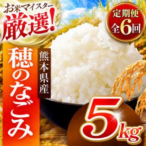 ふるさと納税 和水町 【毎月定期便】熊本県 穂のなごみ 白米 5kg (ブレンド米)全6回