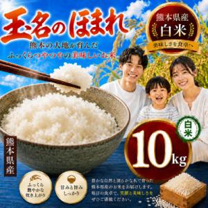 ふるさと納税 玉名市 【毎月定期便】熊本県産 玉名のほまれ(白米) 10kg全3回