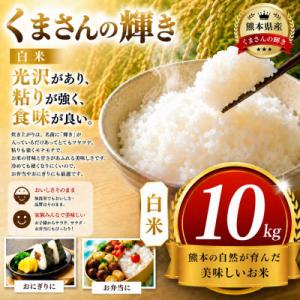 ふるさと納税 玉名市 【毎月定期便】熊本県産 くまさんの輝き 白米 10kg全3回