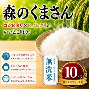 ふるさと納税 玉名市 【毎月定期便】熊本県産 森のくまさん 無洗米 10kg全3回