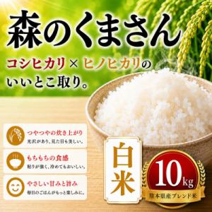 ふるさと納税 玉名市 【毎月定期便】熊本県産 森のくまさん　白米　10kg全3回
