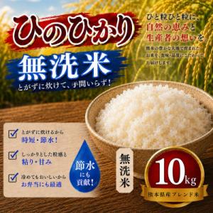 ふるさと納税 玉名市 【毎月定期便】熊本県産 ひのひかり 無洗米 10kg全3回