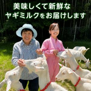 ふるさと納税 美浜町 【毎月定期便】国産グラス...の詳細画像3