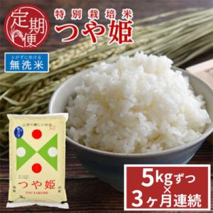 ふるさと納税 酒田市 【毎月定期便】[無洗米]特別栽培米 つや姫　5kg　農家直送　全3回