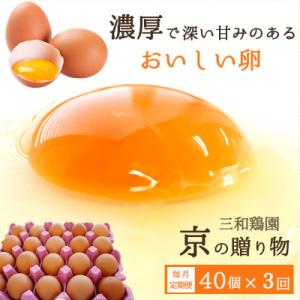 ふるさと納税 舞鶴市 【毎月定期便】卵 40個 赤たまご全3回