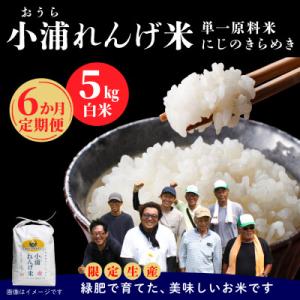 ふるさと納税 日高町 【毎月定期便】小浦れんげ米(にじのきらめき) 精米(白米)5kg全6回