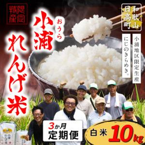 ふるさと納税 日高町 【毎月定期便】小浦れんげ米(にじのきらめき) 精米(白米)10kg全3回