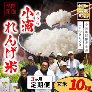ふるさと納税 日高町 【毎月定期便】小浦れんげ米(にじのきらめき) 玄米 10kg全3回