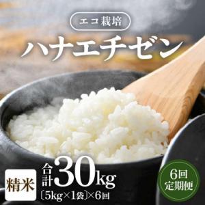 ふるさと納税 あわら市 【毎月定期便】【一等米】エコ栽培ハナエチゼン精米5kg全6回