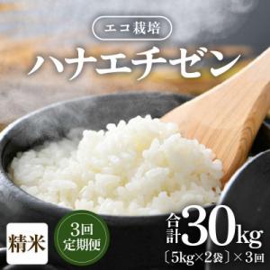 ふるさと納税 あわら市 【毎月定期便】【一等米】エコ栽培ハナエチゼン精米10kg(5kg×2袋)全3回