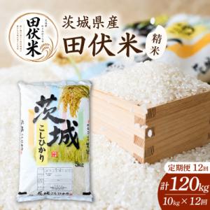 ふるさと納税 かすみがうら市 【毎月定期便】田伏米のコシヒカリ 精米10kg かすみがうら市全12回