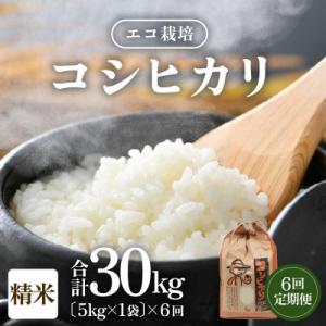 ふるさと納税 あわら市 【毎月定期便】【一等米】 エコ栽培コシヒカリ　精米5kg全6回