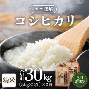 ふるさと納税 あわら市 【毎月定期便】【一等米】 エコ栽培コシヒカリ精米10kg(5kg×2袋)全3回