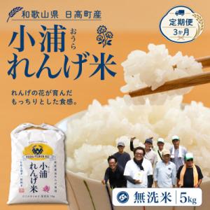 ふるさと納税 日高町 【毎月定期便】小浦れんげ米(にじのきらめき) 無洗米 5kg全3回