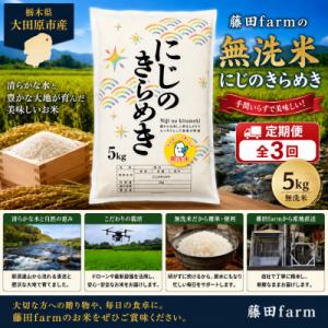 ふるさと納税 大田原市 【毎月定期便】大田原市産にじのきらめき 無洗米 5kg 藤田farmのこだわりのお米全3回