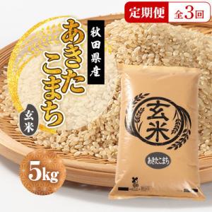 ふるさと納税 大潟村 【毎月定期便】あきたこまち 玄米 5kg全3回