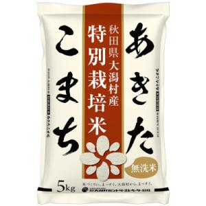 ふるさと納税 大潟村 【毎月定期便】あきたこまち特別栽培無洗精米5kg全12回