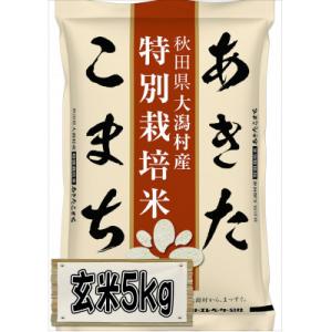 ふるさと納税 大潟村 【毎月定期便】あきたこまち特別栽培玄米5kg全12回