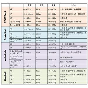 名入れ対応! ミカサ バレーボール 検定球 4...の詳細画像1