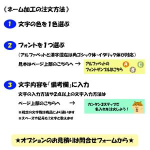 名入れ対応! ミカサ バレーボール 検定球 4...の詳細画像2