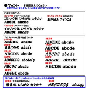 名入れ対応! ミカサ バレーボール 検定球 4...の詳細画像4