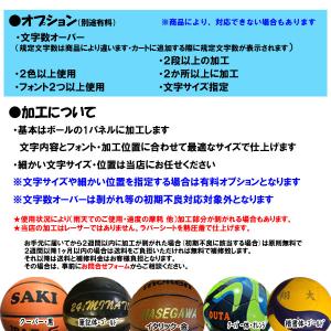 名入れ対応! ミカサ バレーボール 検定球 4...の詳細画像5