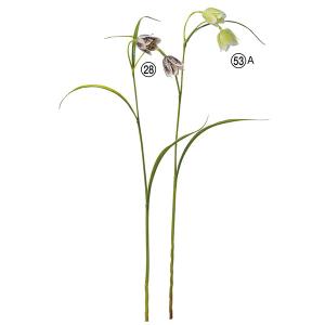 造花 とりよせ品 フリチラリア×2 インテリア ...の商品画像