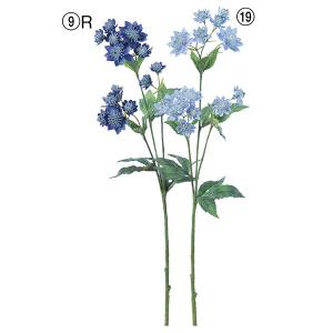 造花 とりよせ品 アストランティア×14 アーテ...の商品画像
